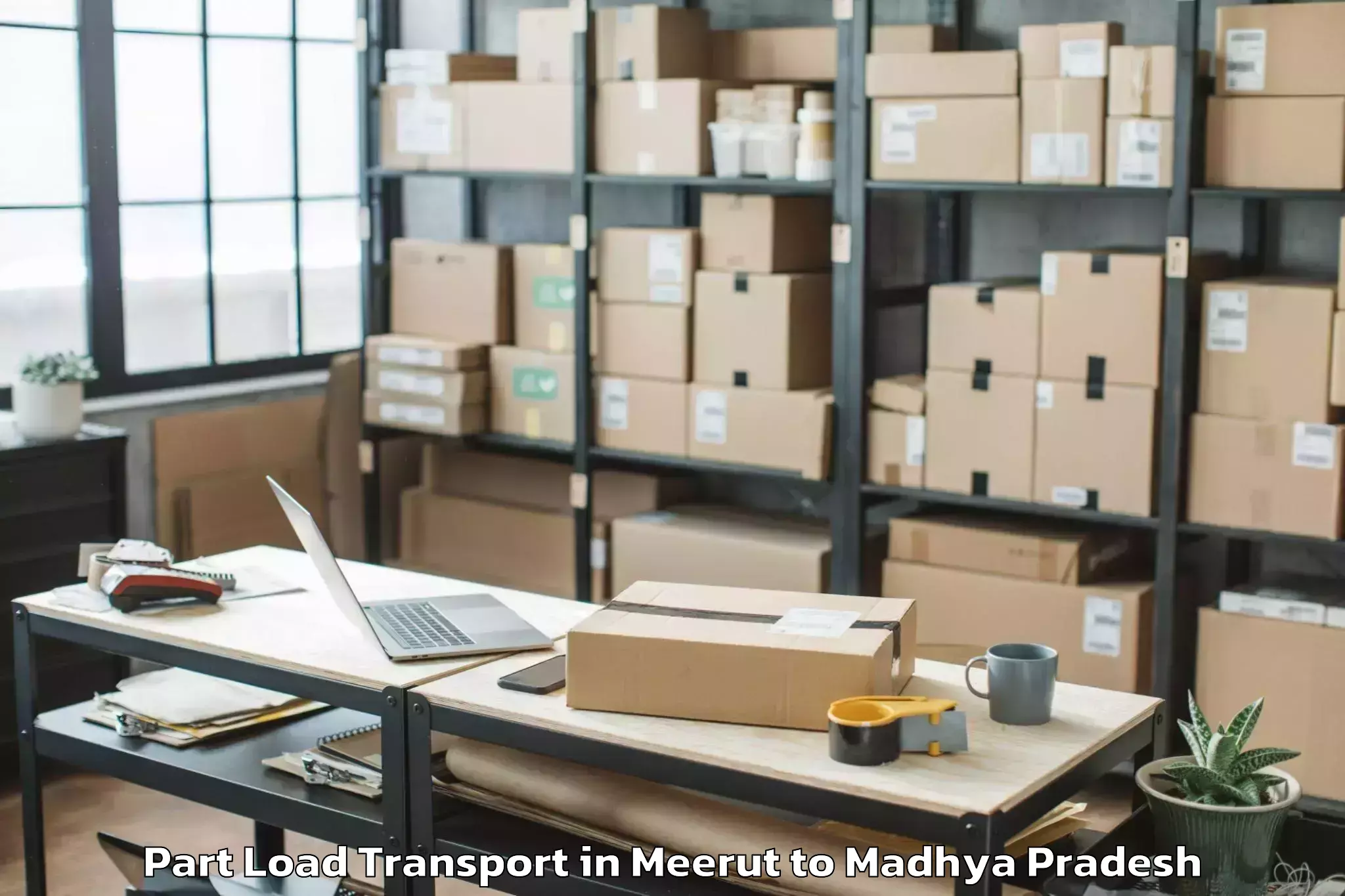 Reliable Meerut to Berasia Part Load Transport